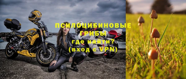 стафф Нязепетровск