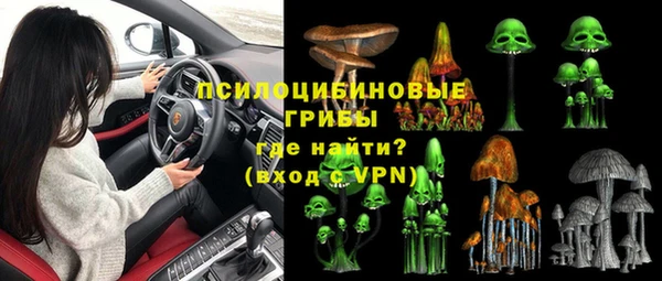 амф Новодвинск