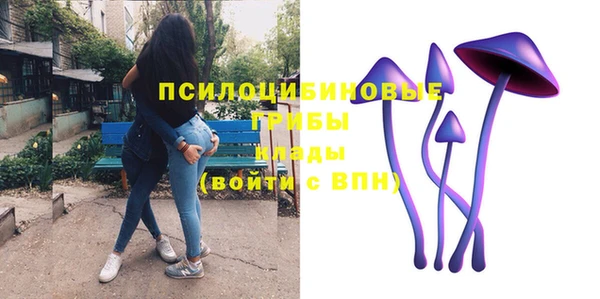 амф Новодвинск