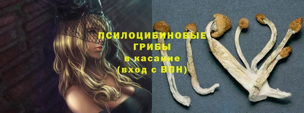 мдпв Няндома