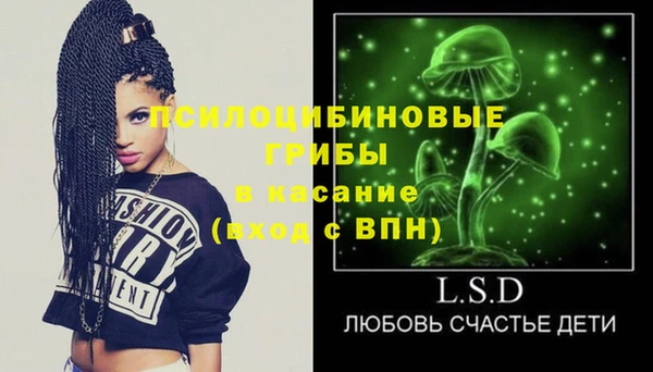 амф Новодвинск