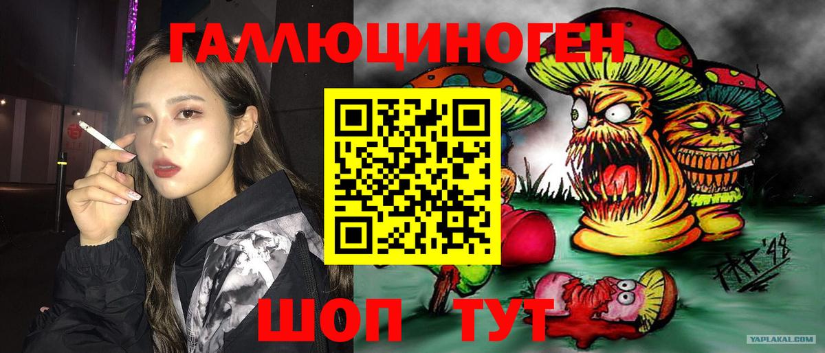 Псилоцибиновые грибы мухоморы Партизанск