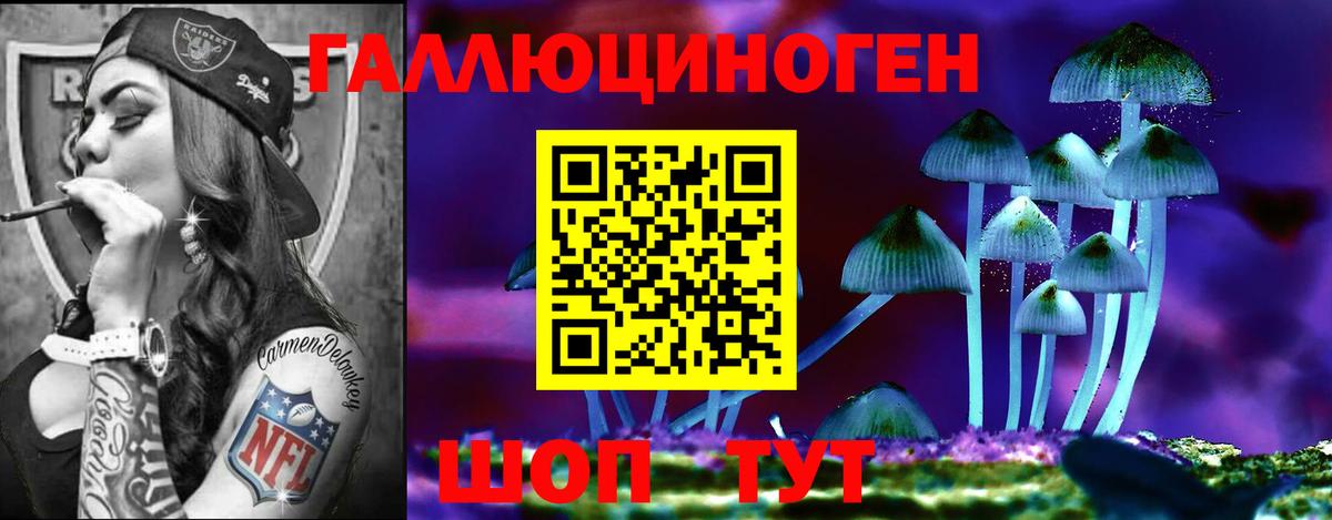 Псилоцибиновые грибы Psilocybine cubensis  Вход с VPN  Псилоцибиновые грибы мухоморы  Партизанск 