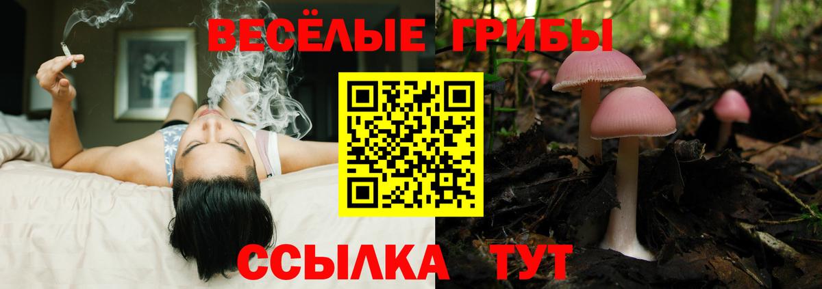 Псилоцибиновые грибы Psilocybine cubensis Партизанск